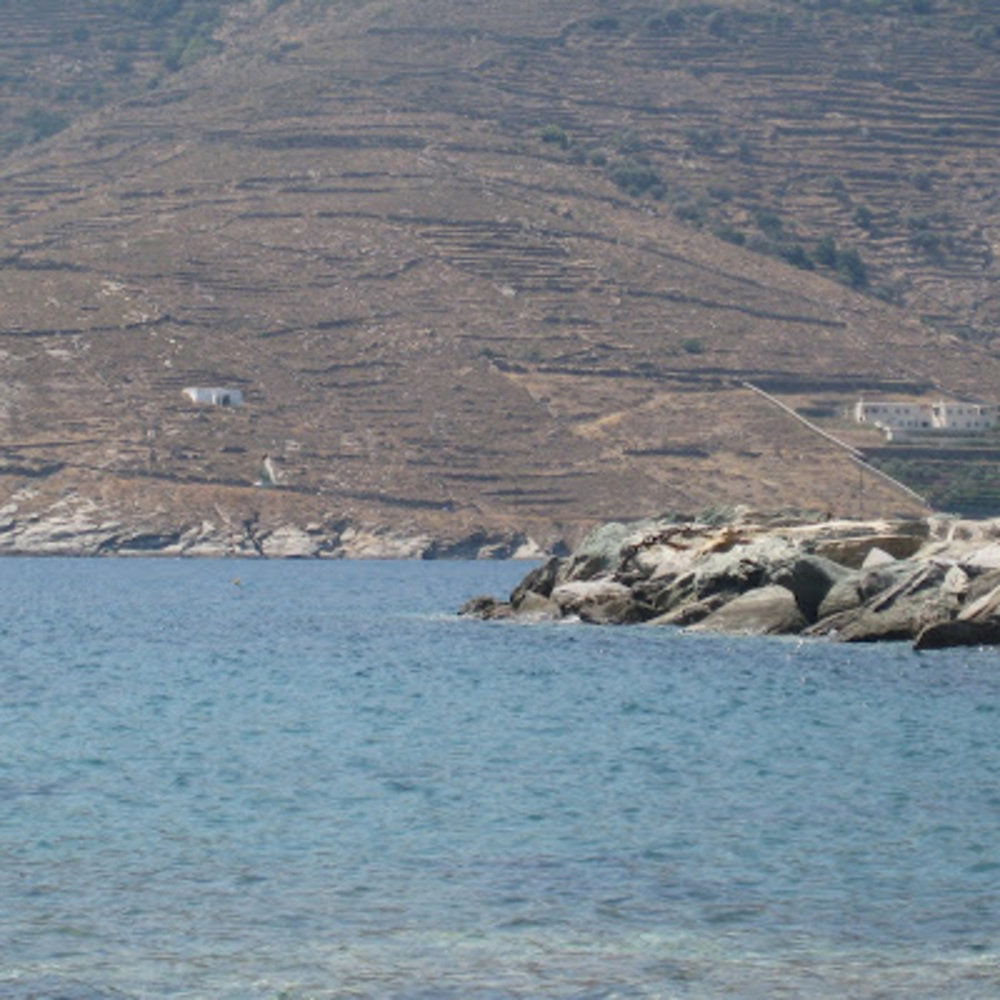 Meet your Posher, Monica